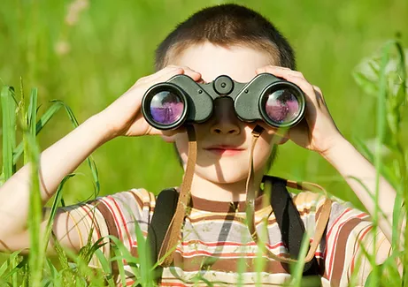 suivi de surveillance